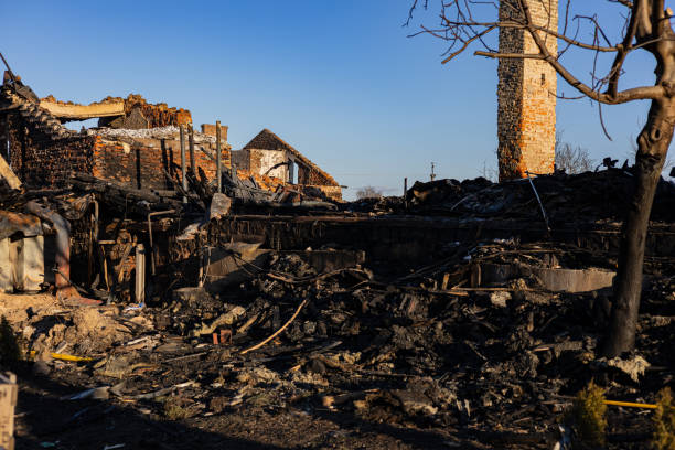 Reliable Content Restoration contractor in Conroe, TX by Fire Damage Doption